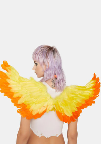 Juicy Night And Day Feather Wings