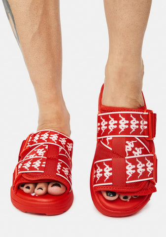 Red 222 Banda Mitel 1 Slides