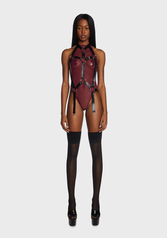 Linked Up Teddy Harness Set