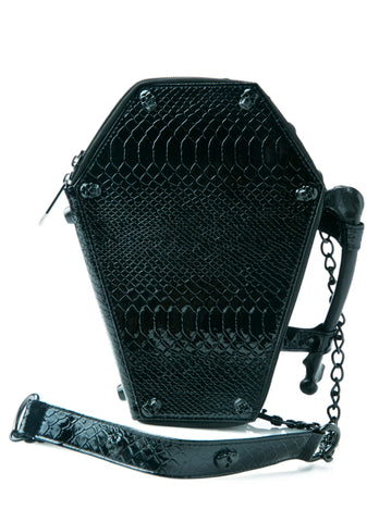 Anatomy Skull With Studs