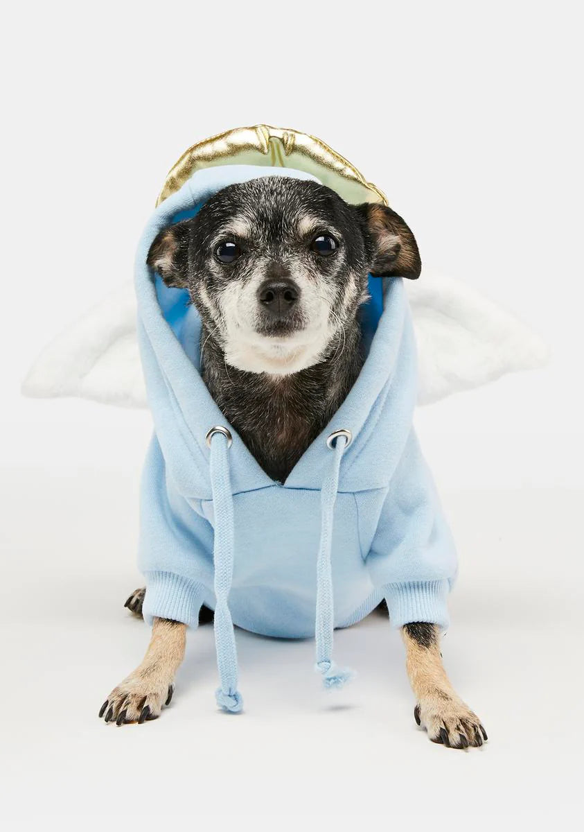 Heaven's Cheerleader Pet Hoodie