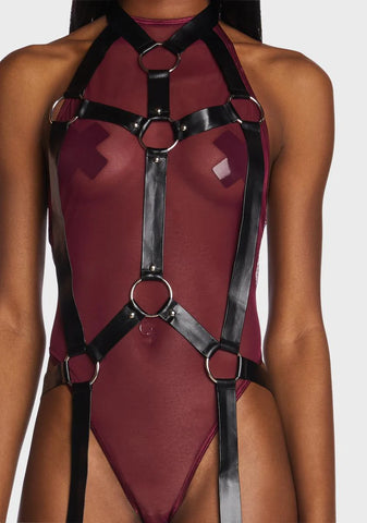 Linked Up Teddy Harness Set