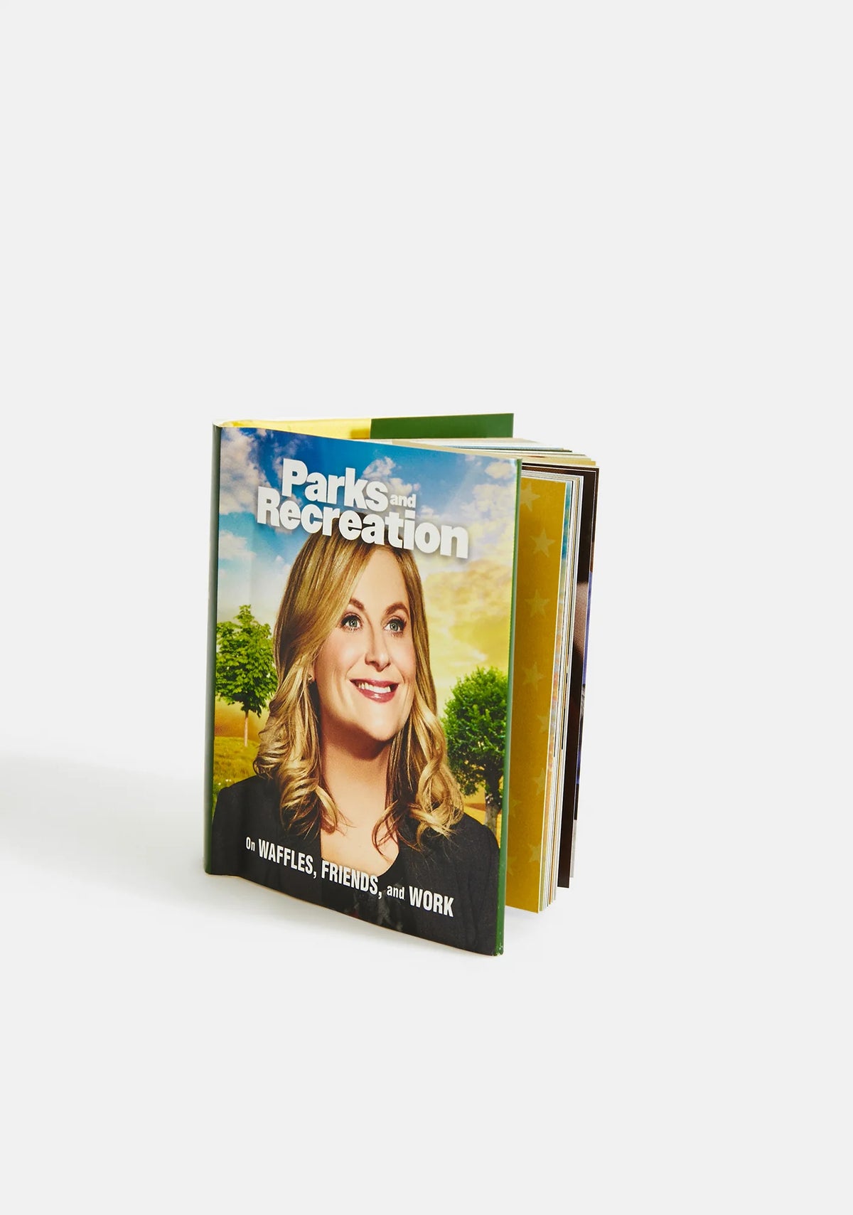 Parks and Recreation Book