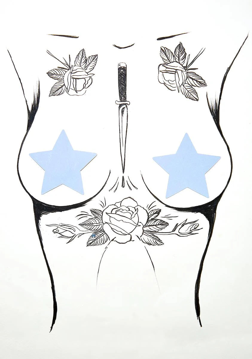 Reflective Star Pasties