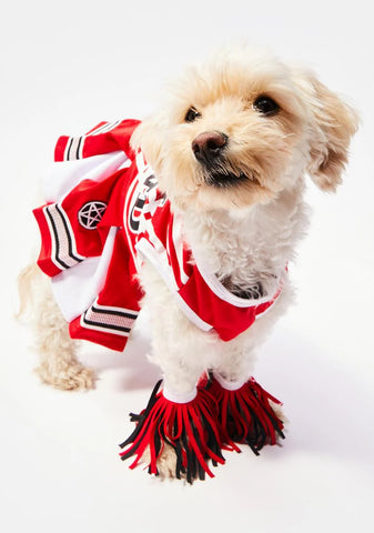 Satan's Cheerleader Dog Costume