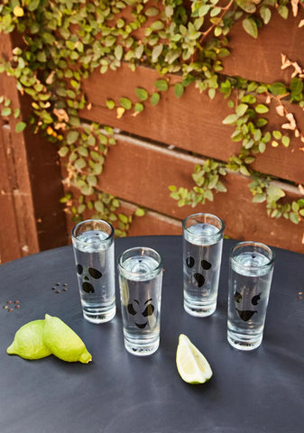 Drinking Spirits Shot Glasses