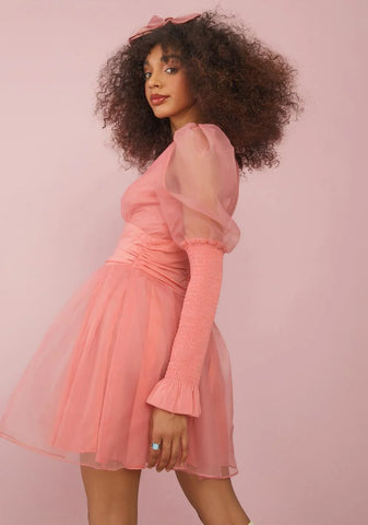 Talk About Forever Organza Mini Dress