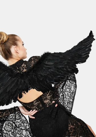 Noir Angel Above Feather Wings