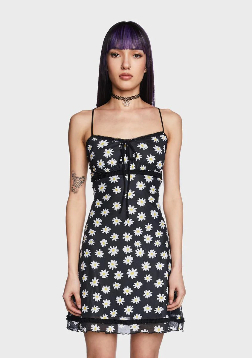 What's The Buzz Mesh Dress