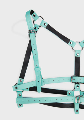 Night Crawl Glow In The Dark Harness