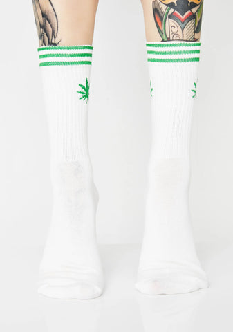 All Time High Striped Socks