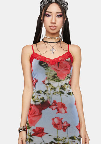 Scenic Rose Print Dress