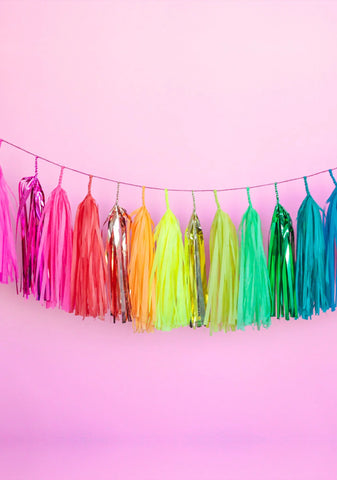 Jewel Tone Rainbow Tassel Banner