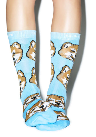 Shiba Inu Socks
