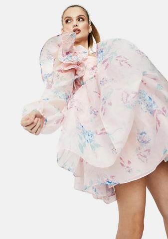 The Dreamhouse Sugarfrill Ruffle Mini Dress