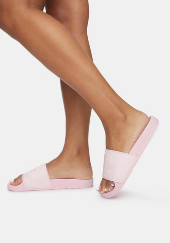 Bubblegum IPO Slides