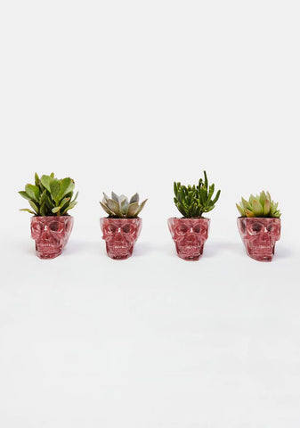 Death Defying Skull Planter Set
