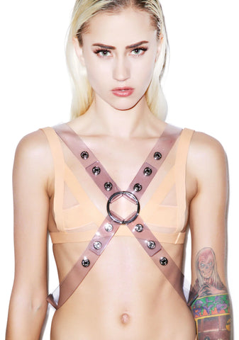 Crossed Out Harness