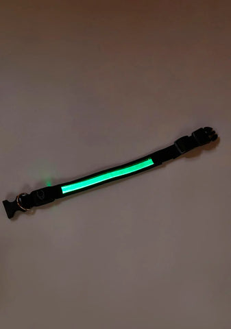 Green LED Collar
