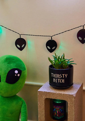 Cosmic Friend String Lights