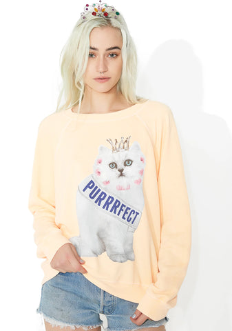 Purrfect Sommers Sweater