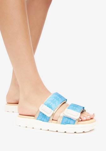 222 Banda Aster 5 Slides