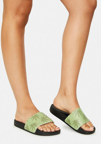 Green Plantlife Graphic Slides