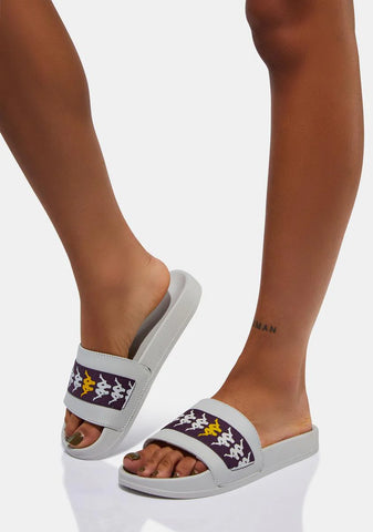 Gray 222 Banda Adam 15 Slides