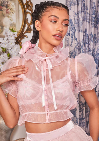 Beauty So Rare Organza Top