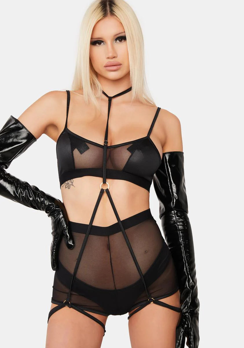 Total Domination Sheer Lingerie Set