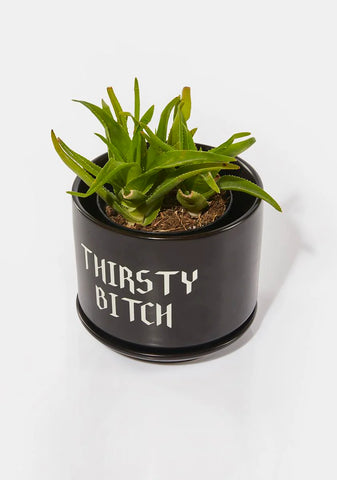 Thirst Trap Plant Pot