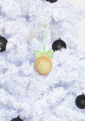 Eucalyptus Ornament Seed Kit