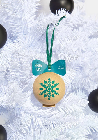 Spruce Ornament Seed Kit