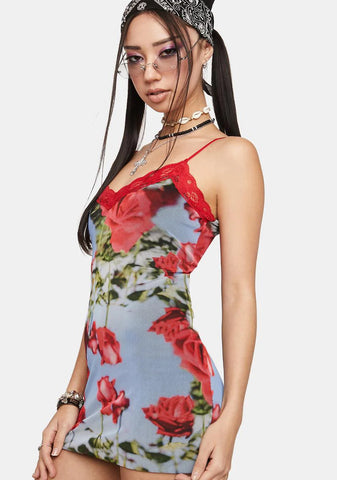Scenic Rose Print Dress