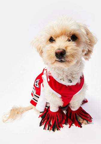 Satan's Cheerleader Dog Costume