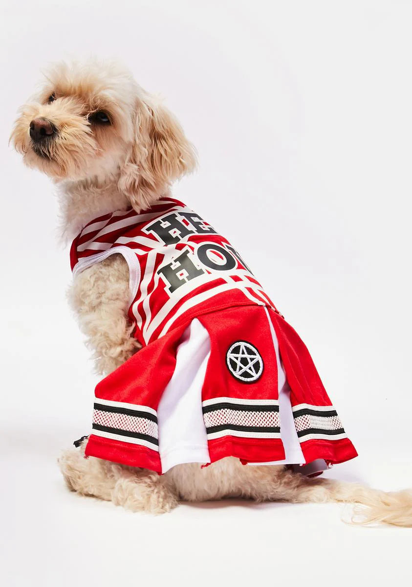 Satan's Cheerleader Dog Costume