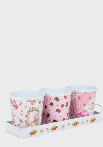 Spring Up Herb Pot Set
