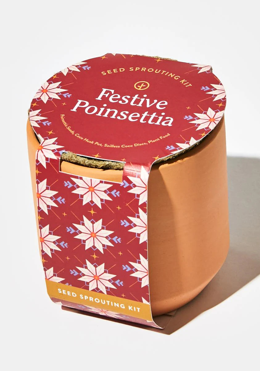 Festive Poinsettia Tiny Terracotta Kit