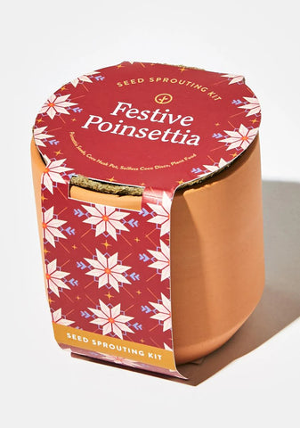 Festive Poinsettia Tiny Terracotta Kit