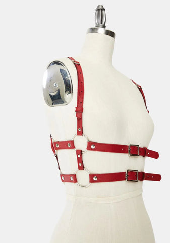 Red Tight Hold Buckle Harness