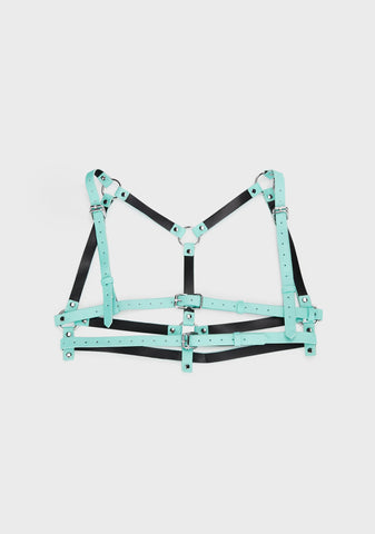 Night Crawl Glow In The Dark Harness