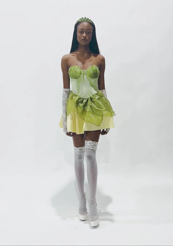 Where's My Prince Princess Costume