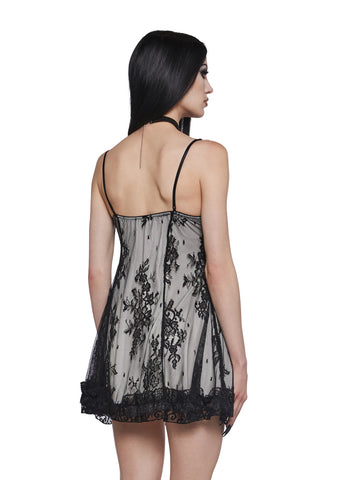 Dove Faithfully Doomed Lace Dress