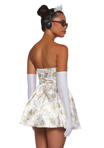 Secret Princess Costume