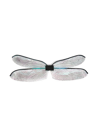 Dragonfly Wings