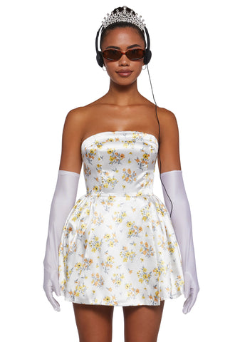 Secret Princess Costume