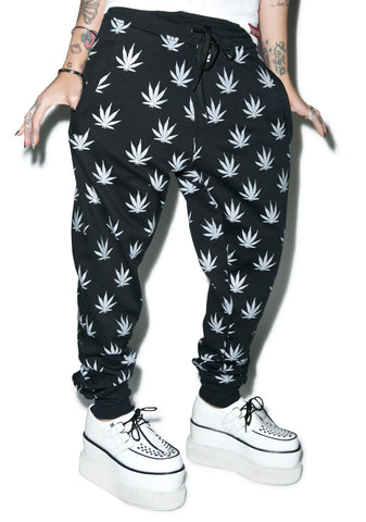 High Rise Jogger Pants