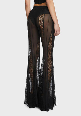 Wild Whims Mesh Flare Pants