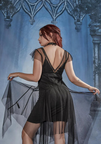 Love Potioned Sheer Embroidered Dress