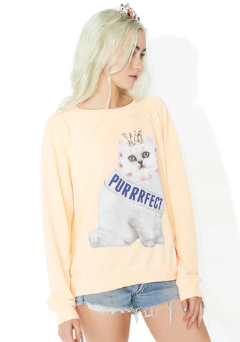 Purrfect Sommers Sweater